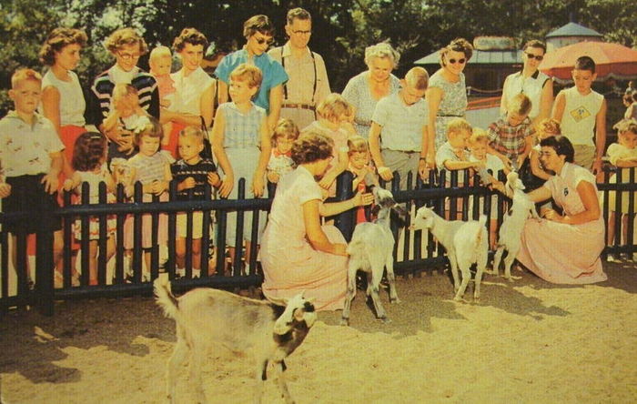 Belle Isle Childrens Zoo - Vintage Postcard (newer photo)
